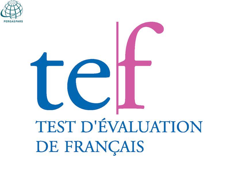 آزمون TEF چیست و مدرک آن در کدام کشورها مورد نیاز است؟