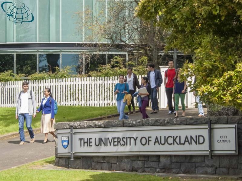 رتبه دانشگاه اوکلند نیوزلند